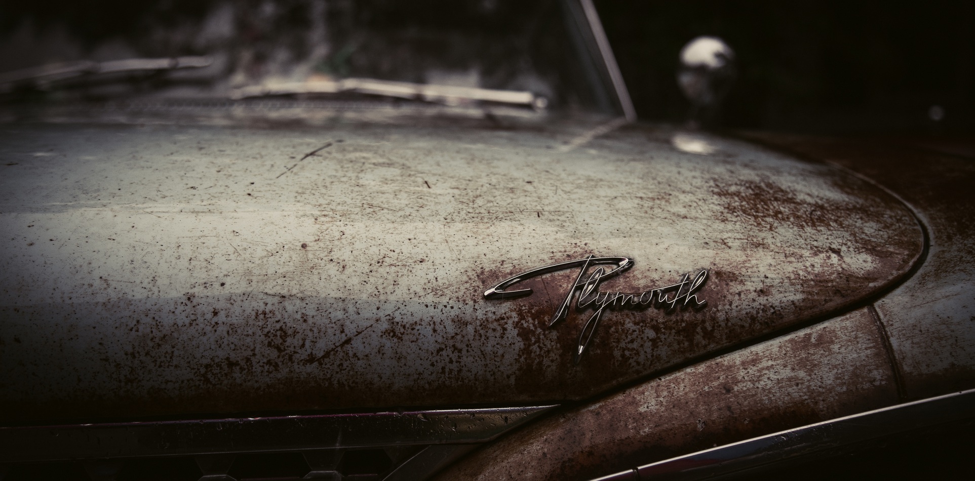 photo-1442188950719-e8a67aea613a